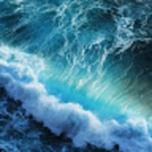 Meet your Posher, Belle